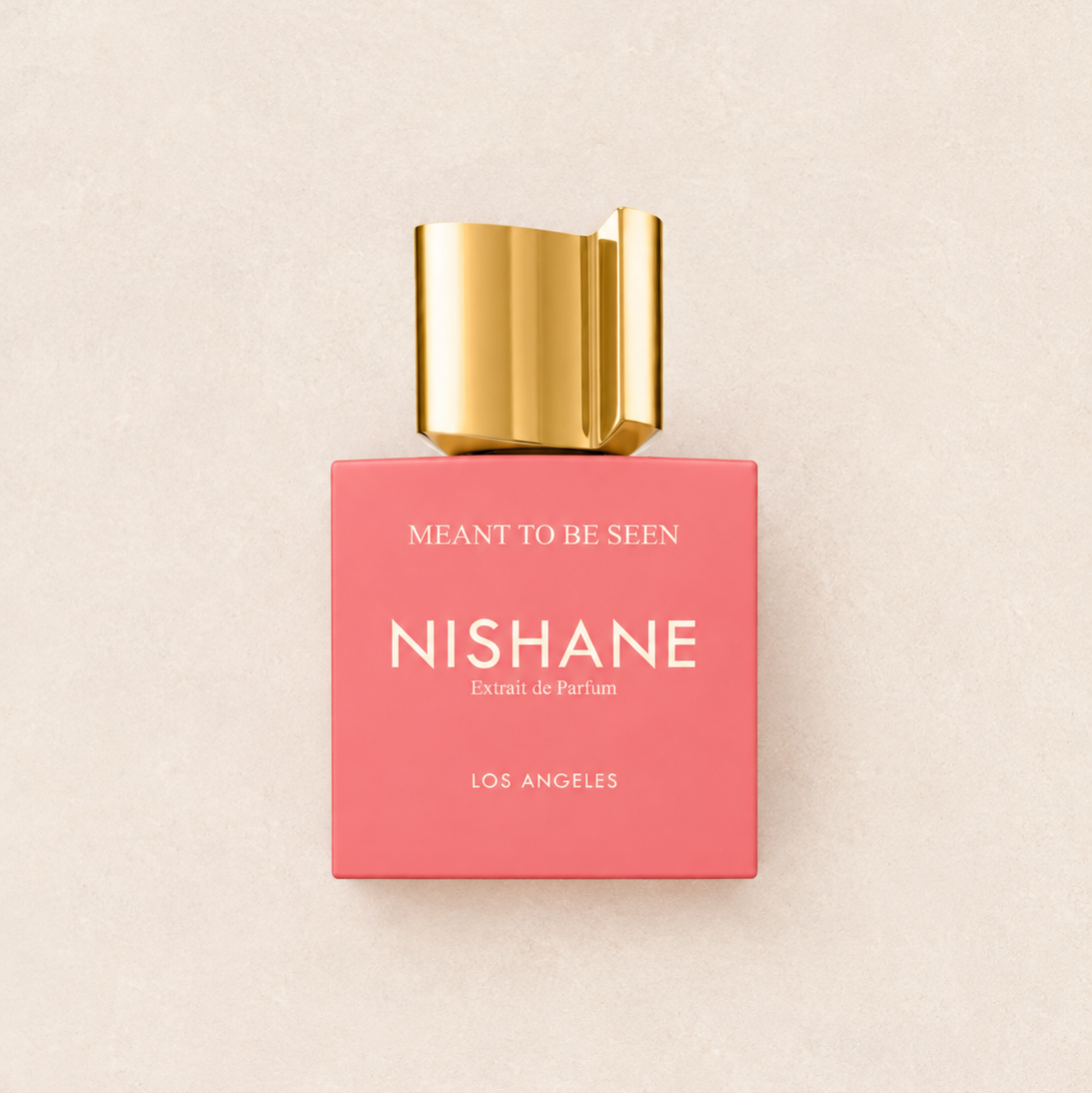 NISHANE MEANT TO BE SEEN EDP 100ML